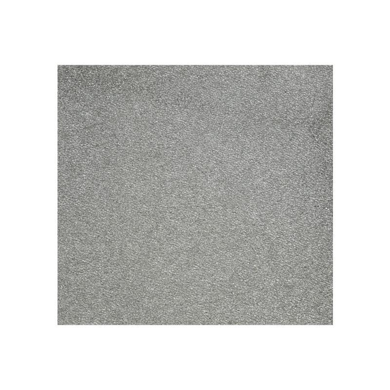 Silverjonfiltersvamp